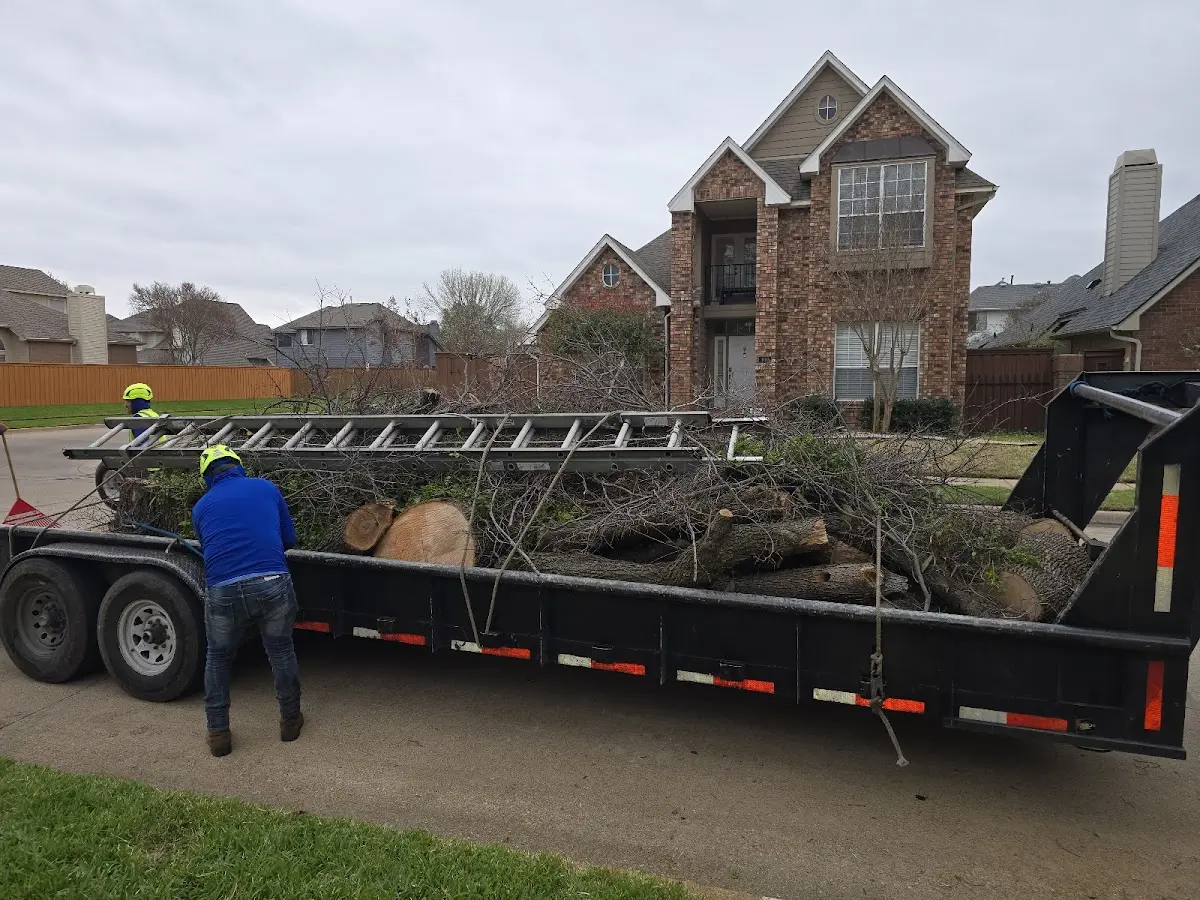 Expert Lot Clearing with proper safety equipment in Robson
